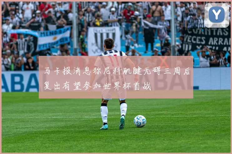 马卡报消息称尼科肌腱无碍三周后复出有望参加世界杯首战